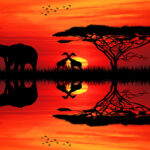 1Mockups_L_0049_10483584_elephant-at-sunset_AOAY2180