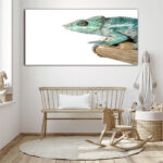 M13_0001_MOCKUP_L_0103_572609_colorful-male-chameleon_AOAY1819