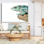 M15_0001_MOCKUP_L_0103_572609_colorful-male-chameleon_AOAY1819