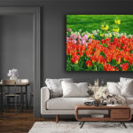 M1_0000_MOCKUP_LAND_0033_29794818_flowerbed-of-tulips-in-the-garden_AOAY2344