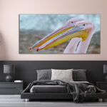M2_0009_ML_0023_23943788_portrait-of-big-rosy-pelican_AOAY2365