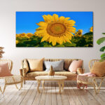 M3_0021_MOCKUP_LAND_0012_26530598_sunflower-on-the-background-of-a-sky_AOAY2330