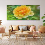 M3_0024_MOCKUP_LAND_0009_26785330_yellow-rose-over-green_AOAY2333