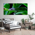 M3_0037_MOCKUP_L_0007_17718906_chameleon-and-flower-bright-vivid-exotic-climate_AOAY1915
