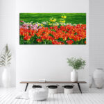 M4_0033_MOCKUP_LAND_0033_29794818_flowerbed-of-tulips-in-the-garden_AOAY2344