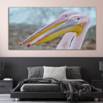 M6_0009_ML_0023_23943788_portrait-of-big-rosy-pelican_AOAY2365