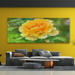 M6_0023_MOCKUP_LAND_0009_26785330_yellow-rose-over-green_AOAY2333