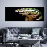 M11_0011_MOCKUP_L_0107_572407_colorful-male-panthera-chameleon_AOAY1815