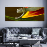 M11_0028_MOCKUP_L_0123_15700_chameleon-on-the-tulip_AOAY1798