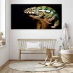 M13_0031_MOCKUP_L_0107_572407_colorful-male-panthera-chameleon_AOAY1815