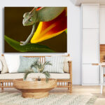 M15_0015_MOCKUP_L_0123_15700_chameleon-on-the-tulip_AOAY1798