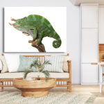 M15_0033_MOCKUP_L_0105_572485_colorful-male-chameleon_AOAY1817
