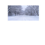 M3_0000_ML_0044_25808022_road-and-tree-covered-by-snow-in-winter_AOAY2766