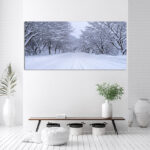 M4_0001_ML_0044_25808022_road-and-tree-covered-by-snow-in-winter_AOAY2766