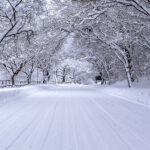MOCKUPs_L_0045_25808018_road-and-tree-covered-by-snow-in-winter_AOAY2765