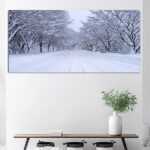 N2_0001_ML_0044_25808022_road-and-tree-covered-by-snow-in-winter_AOAY2766
