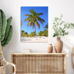 N6_0010_MP_0030_PRINT_P_0032_4924542_coconut-palm-trees-white-sand-tropical-paradise_AOAY1501