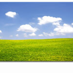 XMOCKUPs_0001_ML_0016_24196348_green-meadow-with-blue-sky_AOAY3010