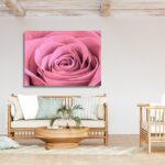 N1_0029_ML_0030_44613082_pale-pink-rose-flower-petals-macro-flowers-background-soft-focus_AOAY3333