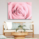 N6_0025_ML_0032_44612794_pale-pink-rose-flower-petals-macro-flowers-background-soft-focus_AOAY3331