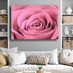 N7_0029_ML_0030_44613082_pale-pink-rose-flower-petals-macro-flowers-background-soft-focus_AOAY3333