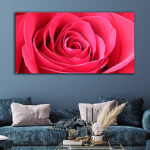 N8_0020_ML_0035_44612484_red-rose-flower-petals-macro-flowers-background-soft-focus_AOAY3328
