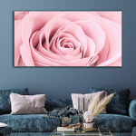 N8_0025_ML_0032_44612794_pale-pink-rose-flower-petals-macro-flowers-background-soft-focus_AOAY3331