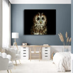 R6_0049_MS_0010_33537964_tawny-owl-or-brown-owl-strix-aluco_AOAY3616